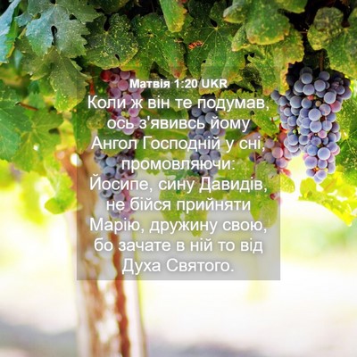 Picture 04 - Матвія 1:20 UKR - Коли ж він те подумав, ось - Bible Verse Picture