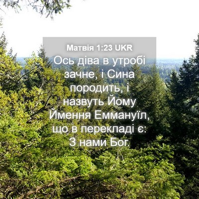Picture 04 - Матвія 1:23 UKR - Ось діва в утробі зачне, і - Bible Verse Picture