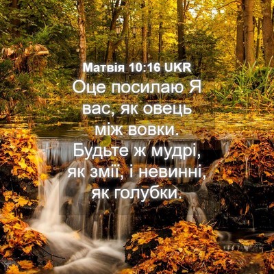 Picture 04 - Матвія 10:16 UKR - Оце посилаю Я вас, як овець - Bible Verse Picture
