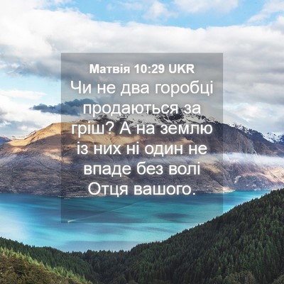 Picture 04 - Матвія 10:29 UKR - Чи не два горобці - Bible Verse Picture