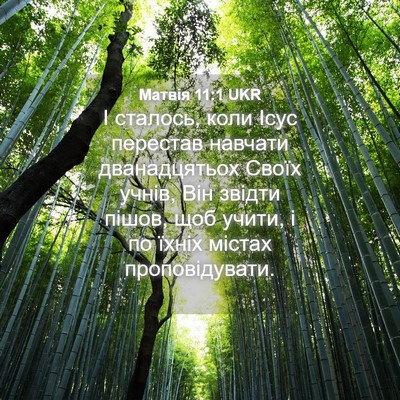 Picture 04 - Матвія 11:1 UKR - І сталось, коли Ісус - Bible Verse Picture
