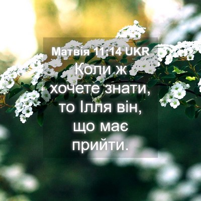 Picture 04 - Матвія 11:14 UKR - Коли ж хочете знати, то - Bible Verse Picture