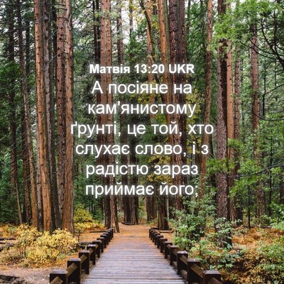 Picture 04 - Матвія 13:20 UKR - А посіяне на кам'янистому - Bible Verse Picture