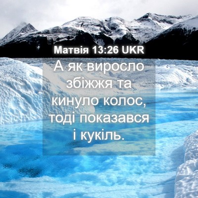 Picture 04 - Матвія 13:26 UKR - А як виросло збіжжя та - Bible Verse Picture