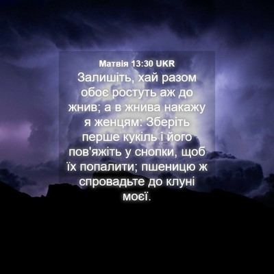 Picture 04 - Матвія 13:30 UKR - Залишіть, хай разом обоє - Bible Verse Picture