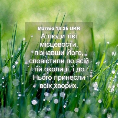 Picture 04 - Матвія 14:35 UKR - А люди тієї місцевости, - Bible Verse Picture