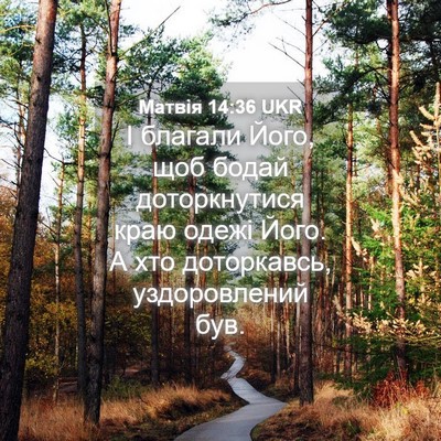 Picture 04 - Матвія 14:36 UKR - І благали Його, щоб бодай - Bible Verse Picture