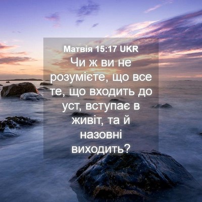 Picture 04 - Матвія 15:17 UKR - Чи ж ви не розумієте, що все - Bible Verse Picture
