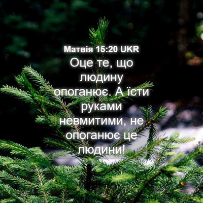Picture 04 - Матвія 15:20 UKR - Оце те, що людину опоганює. - Bible Verse Picture