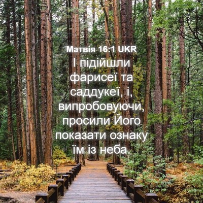 Picture 04 - Матвія 16:1 UKR - І підійшли фарисеї та - Bible Verse Picture