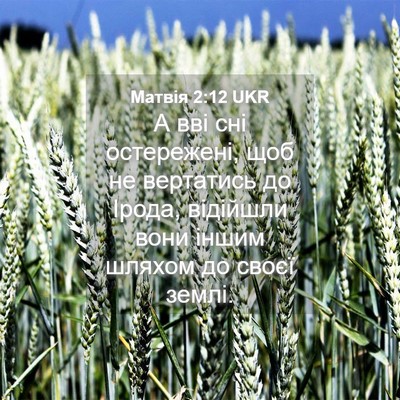 Picture 04 - Матвія 2:12 UKR - А вві сні остережені, щоб - Bible Verse Picture