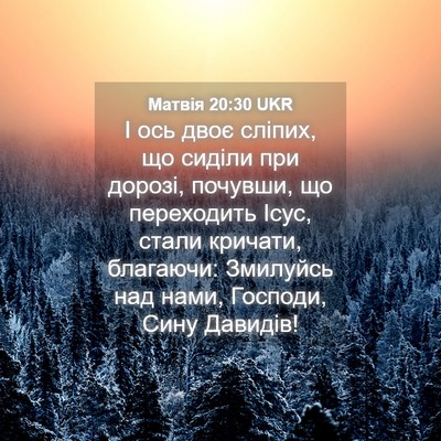 Picture 04 - Матвія 20:30 UKR - І ось двоє сліпих, що - Bible Verse Picture