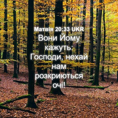 Picture 04 - Матвія 20:33 UKR - Вони Йому кажуть: Господи, - Bible Verse Picture