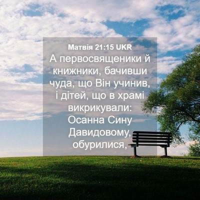 Picture 04 - Матвія 21:15 UKR - А первосвященики й - Bible Verse Picture