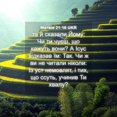 Picture 04 - Матвія 21:16 UKR - та й сказали Йому: Чи ти - Bible Verse Picture