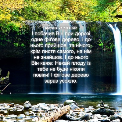 Picture 04 - Матвія 21:19 UKR - І побачив Він при дорозі - Bible Verse Picture