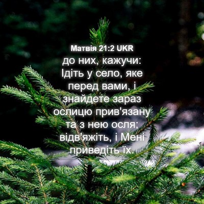 Picture 04 - Матвія 21:2 UKR - до них, кажучи: Ідіть у - Bible Verse Picture