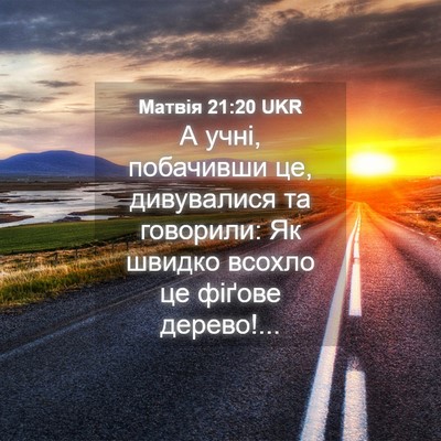 Picture 04 - Матвія 21:20 UKR - А учні, побачивши це, - Bible Verse Picture