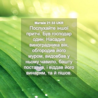 Picture 04 - Матвія 21:33 UKR - Послухайте іншої притчі. - Bible Verse Picture