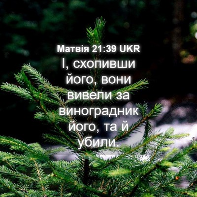 Picture 04 - Матвія 21:39 UKR - І, схопивши його, вони - Bible Verse Picture