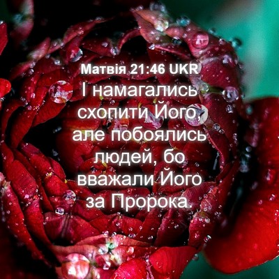 Picture 04 - Матвія 21:46 UKR - І намагались схопити Його, - Bible Verse Picture