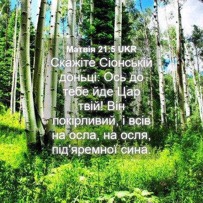 Picture 04 - Матвія 21:5 UKR - Скажіте Сіонській доньці: - Bible Verse Picture