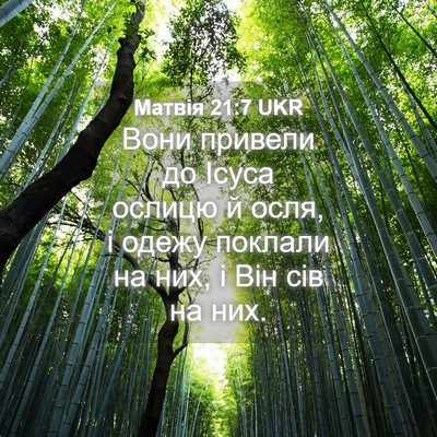 Picture 04 - Матвія 21:7 UKR - Вони привели до Ісуса - Bible Verse Picture