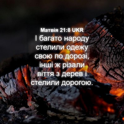Picture 04 - Матвія 21:8 UKR - І багато народу стелили - Bible Verse Picture