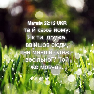 Picture 04 - Матвія 22:12 UKR - та й каже йому: Як ти, друже, - Bible Verse Picture