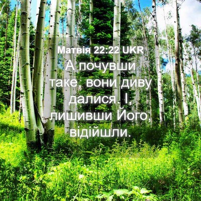 Picture 04 - Матвія 22:22 UKR - А почувши таке, вони диву - Bible Verse Picture