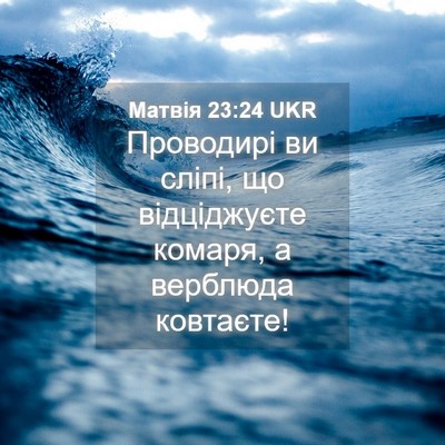 Picture 04 - Матвія 23:24 UKR - Проводирі ви сліпі, що - Bible Verse Picture
