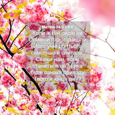 Picture 04 - Матвія 24:3 UKR - Коли ж Він сидів на Оливній - Bible Verse Picture