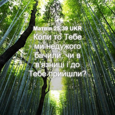Picture 04 - Матвія 25:39 UKR - Коли то Тебе ми недужого - Bible Verse Picture
