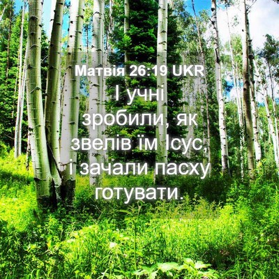 Picture 04 - Матвія 26:19 UKR - І учні зробили, як звелів - Bible Verse Picture