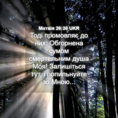 Picture 04 - Матвія 26:38 UKR - Тоді промовляє до них: - Bible Verse Picture