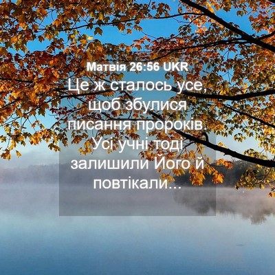 Picture 04 - Матвія 26:56 UKR - Це ж сталось усе, щоб - Bible Verse Picture