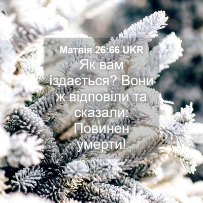 Picture 04 - Матвія 26:66 UKR - Як вам іздається? Вони ж - Bible Verse Picture