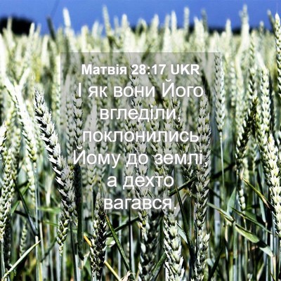 Picture 04 - Матвія 28:17 UKR - І як вони Його вгледіли, - Bible Verse Picture