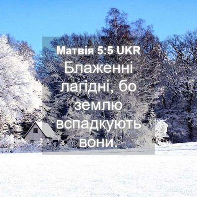 Picture 04 - Матвія 5:5 UKR - Блаженні лагідні, бо землю - Bible Verse Picture