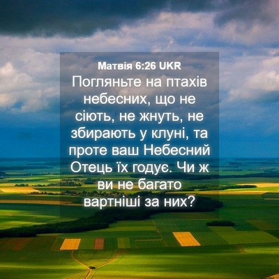 Picture 04 - Матвія 6:26 UKR - Погляньте на птахів - Bible Verse Picture