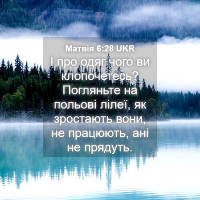 Picture 04 - Матвія 6:28 UKR - І про одяг чого ви - Bible Verse Picture