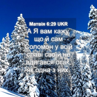 Picture 04 - Матвія 6:29 UKR - А Я вам кажу, що й сам - Bible Verse Picture