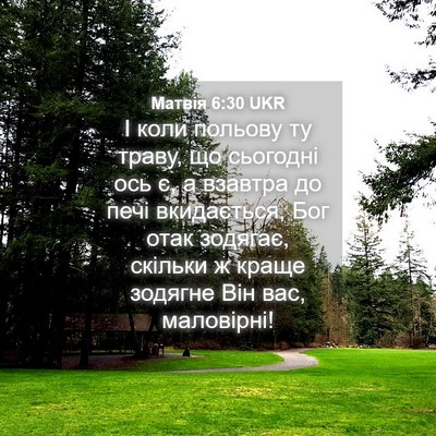Picture 04 - Матвія 6:30 UKR - І коли польову ту траву, що - Bible Verse Picture