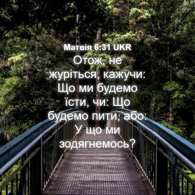Picture 04 - Матвія 6:31 UKR - Отож, не журіться, кажучи: - Bible Verse Picture