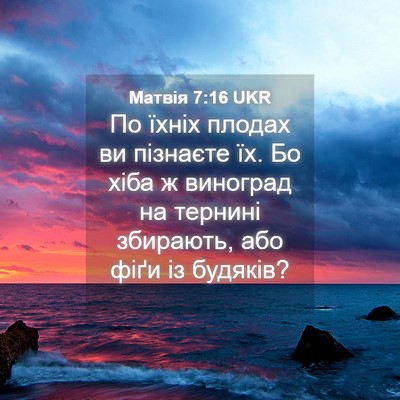 Picture 04 - Матвія 7:16 UKR - По їхніх плодах ви - Bible Verse Picture