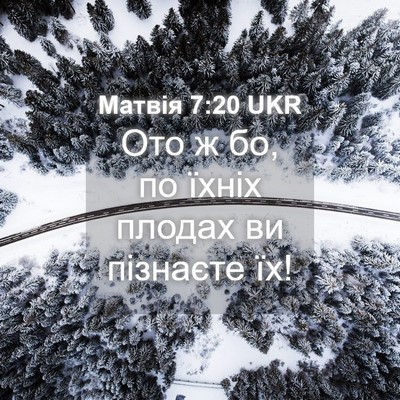 Picture 04 - Матвія 7:20 UKR - Ото ж бо, по їхніх плодах ви - Bible Verse Picture