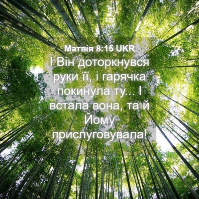 Picture 04 - Матвія 8:15 UKR - І Він доторкнувся руки її, - Bible Verse Picture
