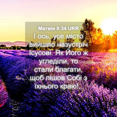 Picture 04 - Матвія 8:34 UKR - І ось, усе місто вийшло - Bible Verse Picture