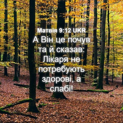 Picture 04 - Матвія 9:12 UKR - А Він це почув та й сказав: - Bible Verse Picture