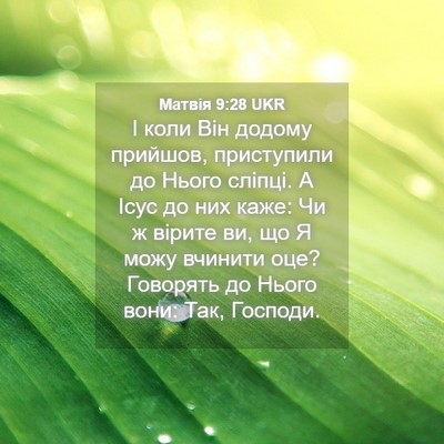 Picture 04 - Матвія 9:28 UKR - І коли Він додому прийшов, - Bible Verse Picture